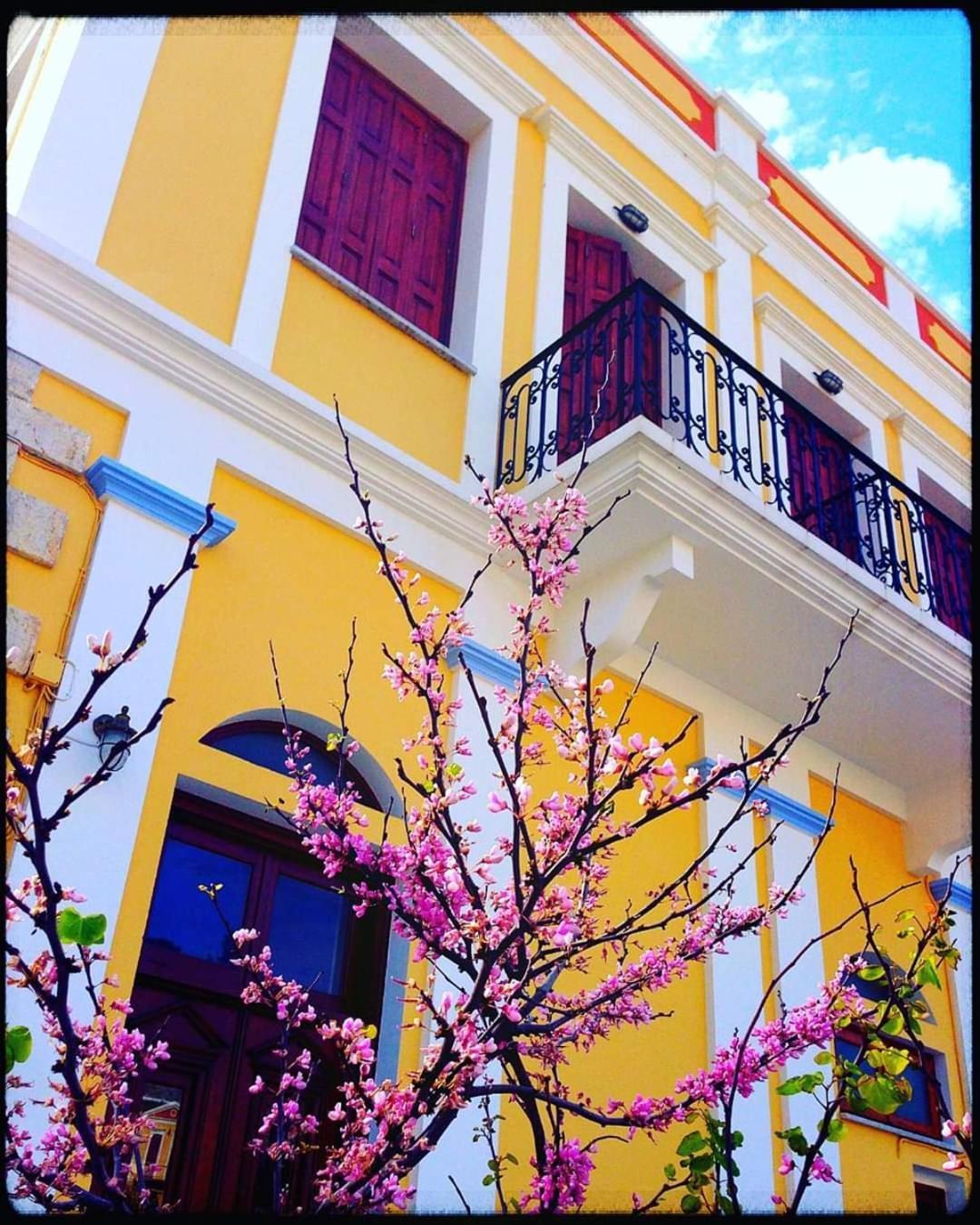 Myrtia Apartment Symi Bagian luar foto